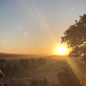 Meet your Posher, Alan